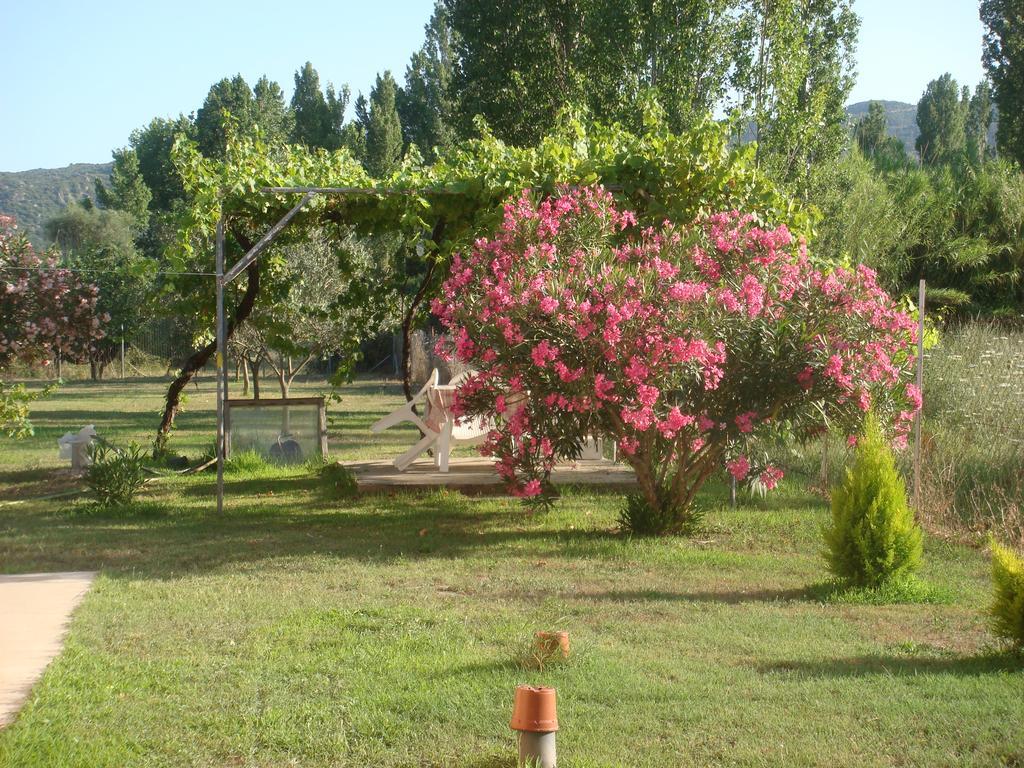 Villa Angela Sykia Exterior foto