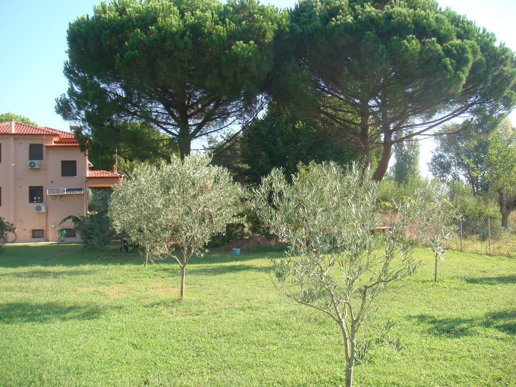 Villa Angela Sykia Exterior foto
